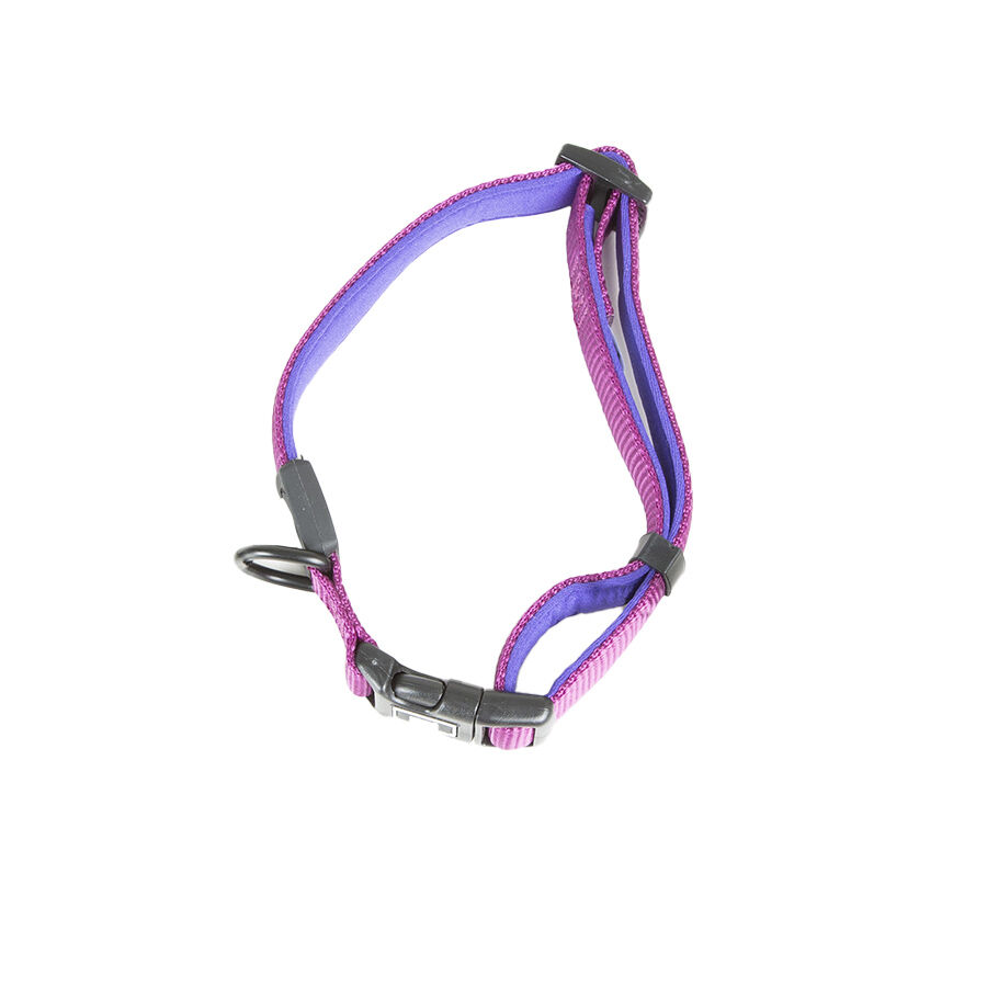 TK-Pet Neo Classic Coleira de Nylon Roxo para c&atilde;es, , large Imagem n&uacute;mero 2